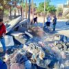 Erradican dos tiraderos clandestinos en la colonia Real Unidad de Cabo San Lucas