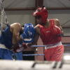Concluyen eliminatorias municipales de boxeo y fútbol